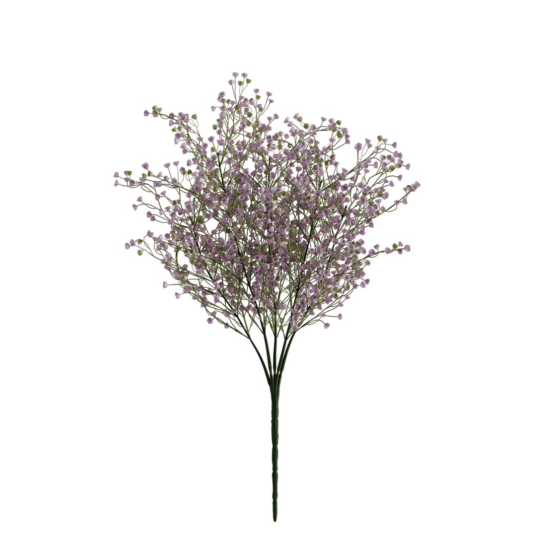 BLUSH - Naturalist Interiors