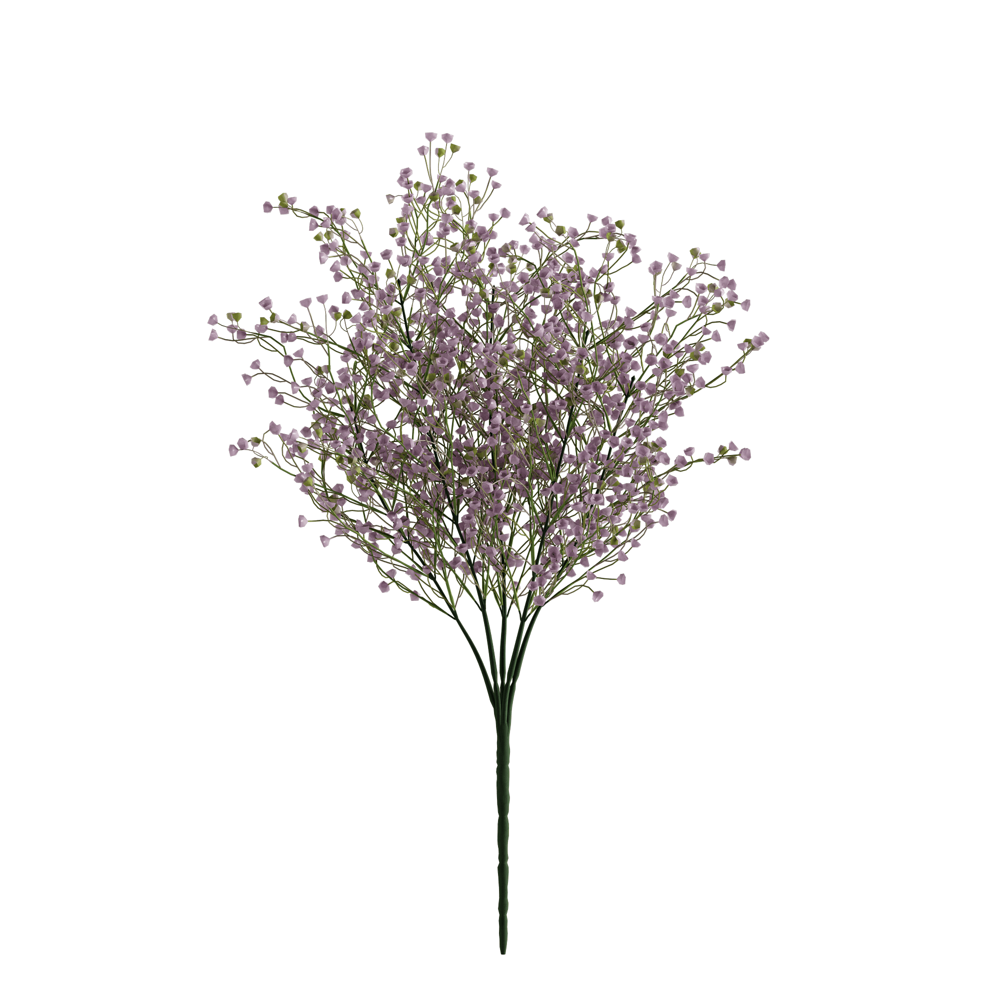 BLUSH - Naturalist Interiors