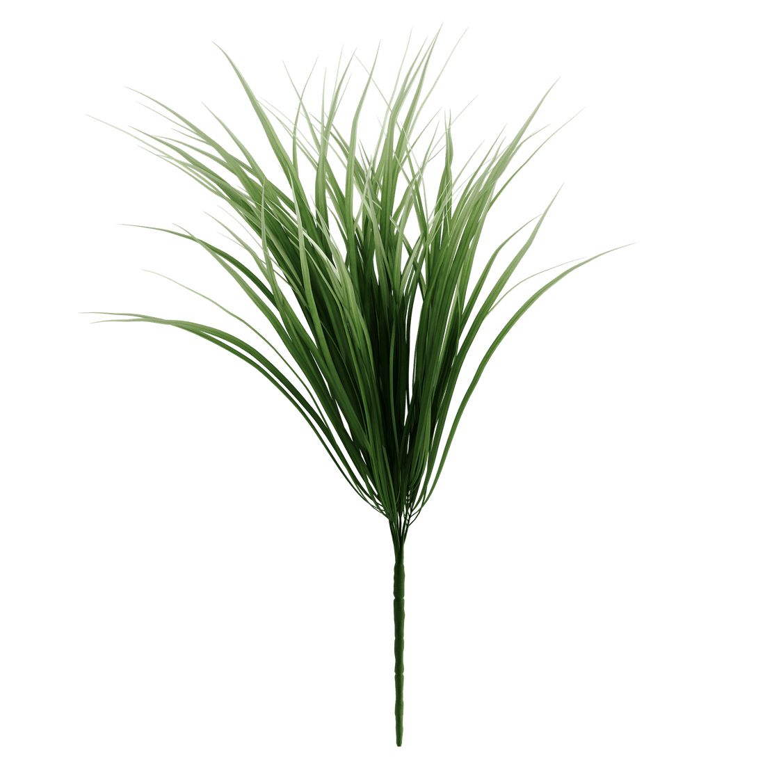 CLOUD 9 - Naturalist Interiors