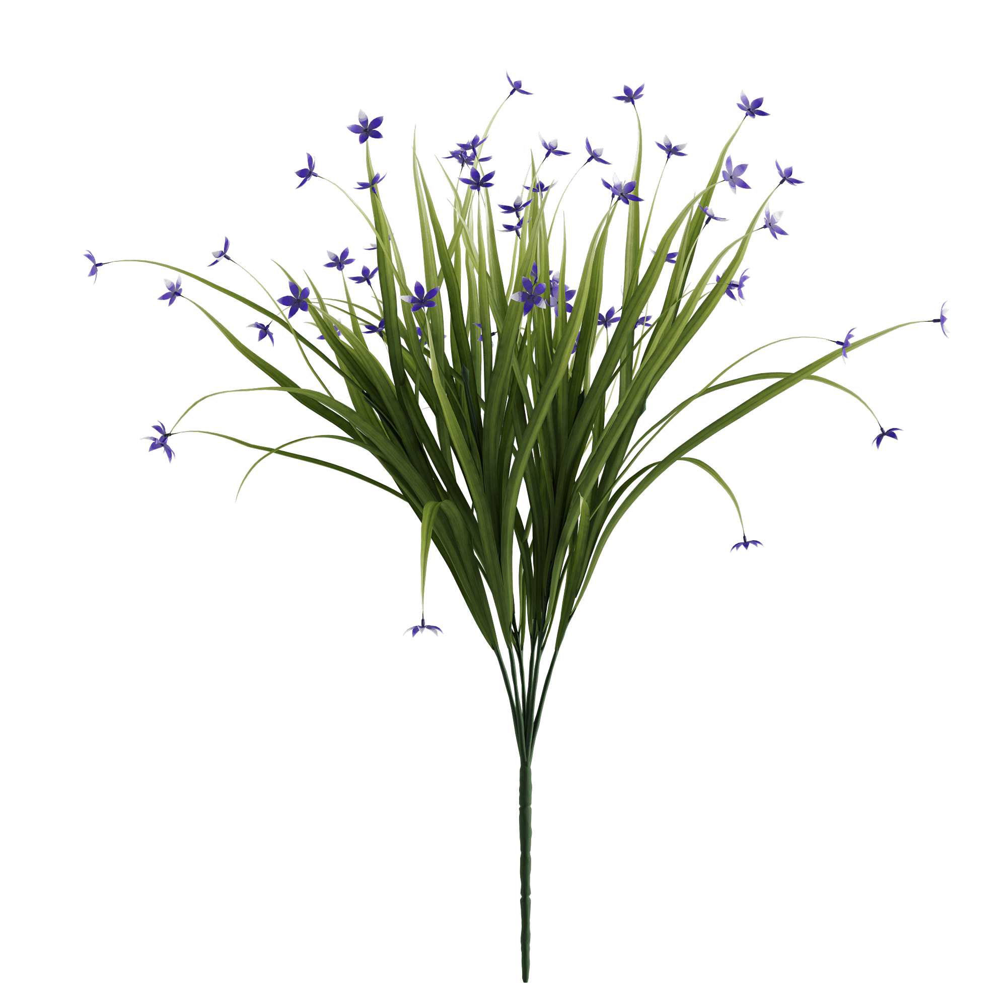 LAVANDULA - Naturalist Interiors