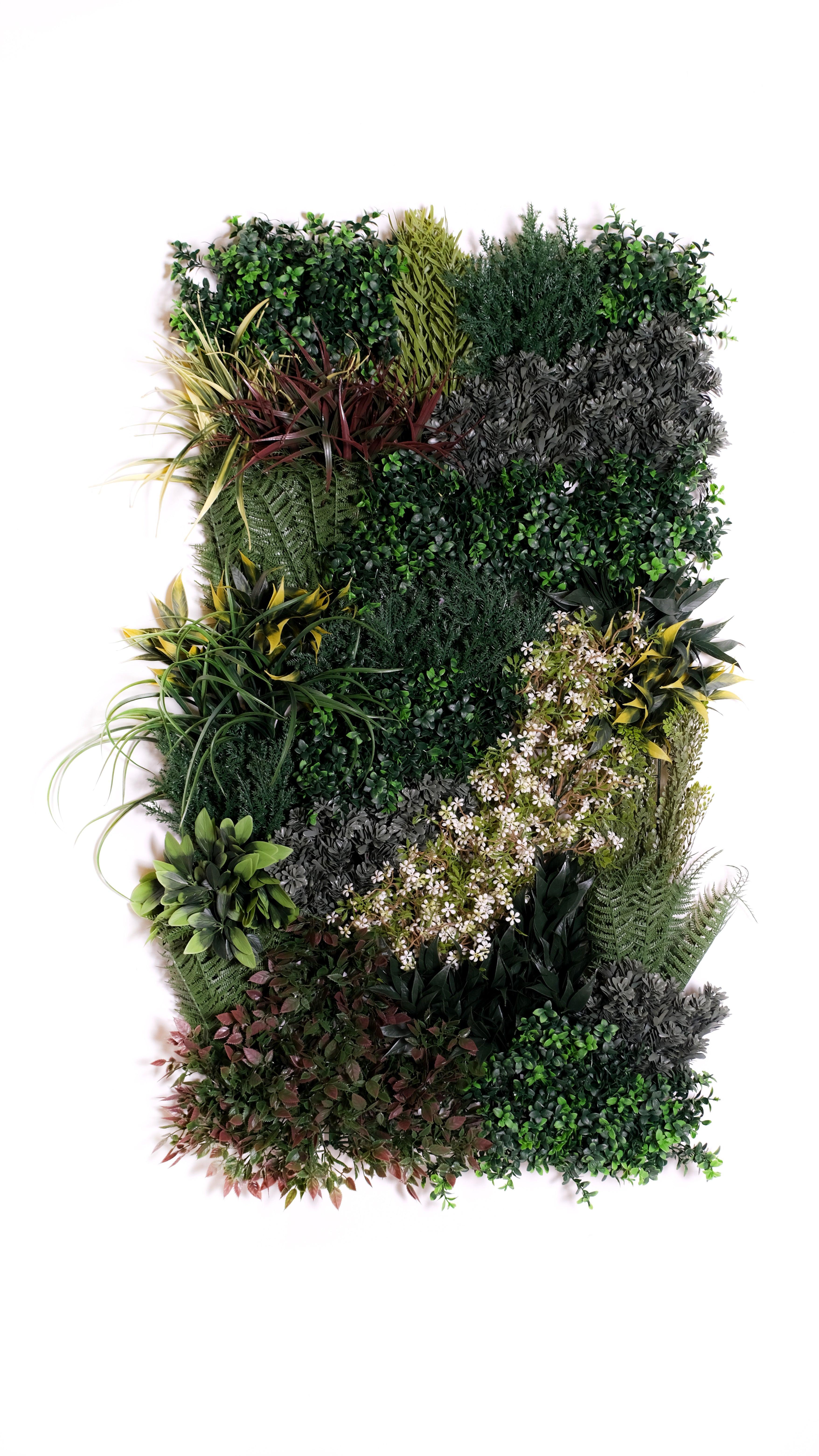 BIOPHILIC BLISS - SET OF THREE - Naturalist Interiors