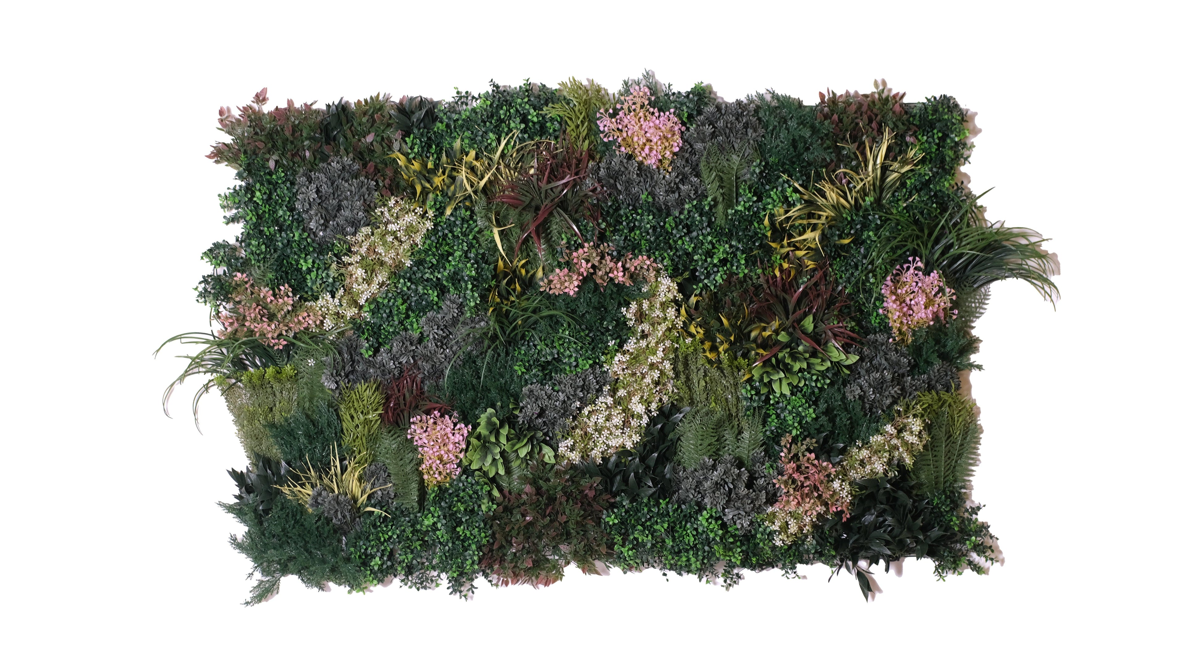 BLUSH - Naturalist Interiors