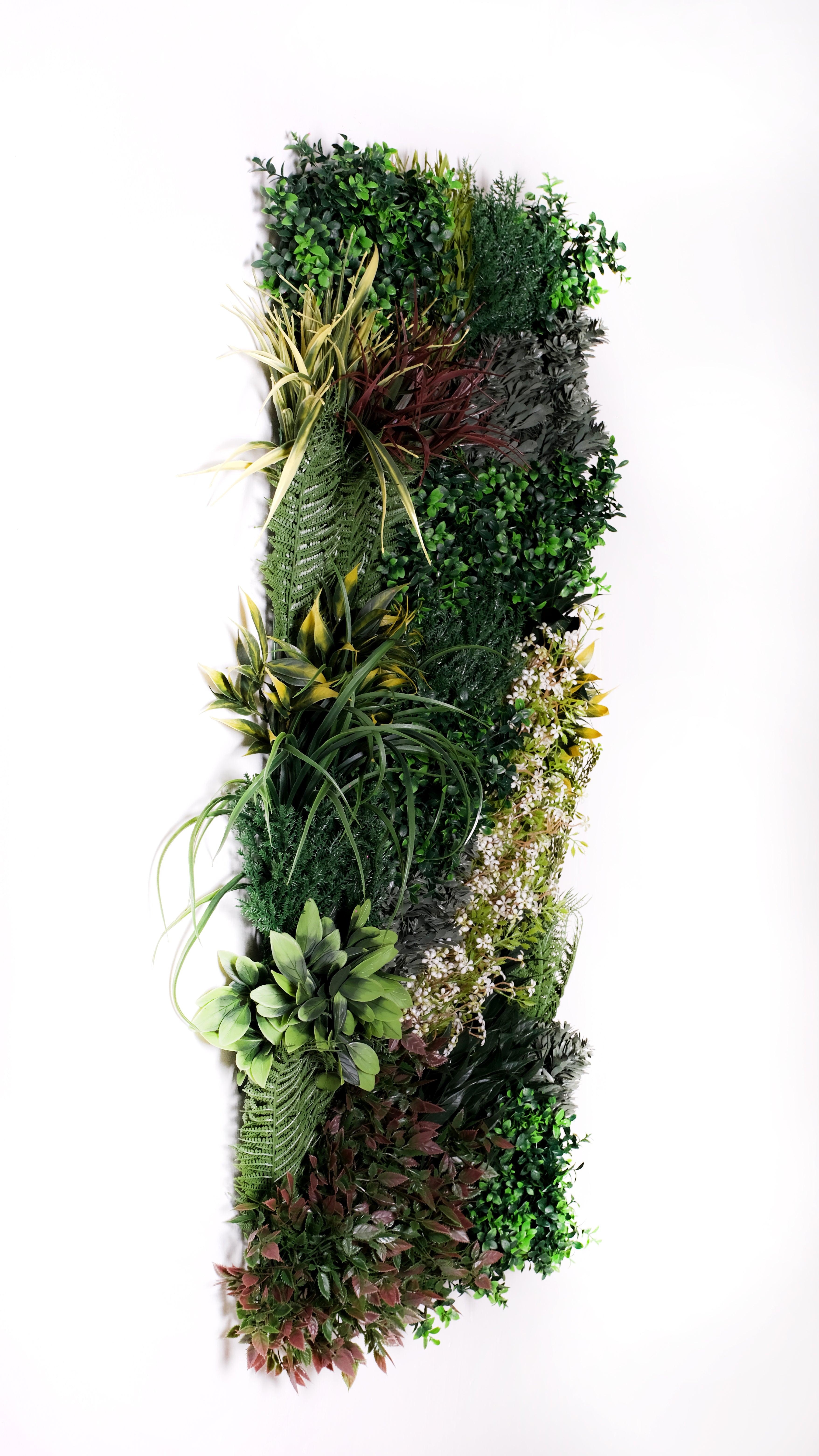 BIOPHILIC BLISS - SET OF THREE - Naturalist Interiors