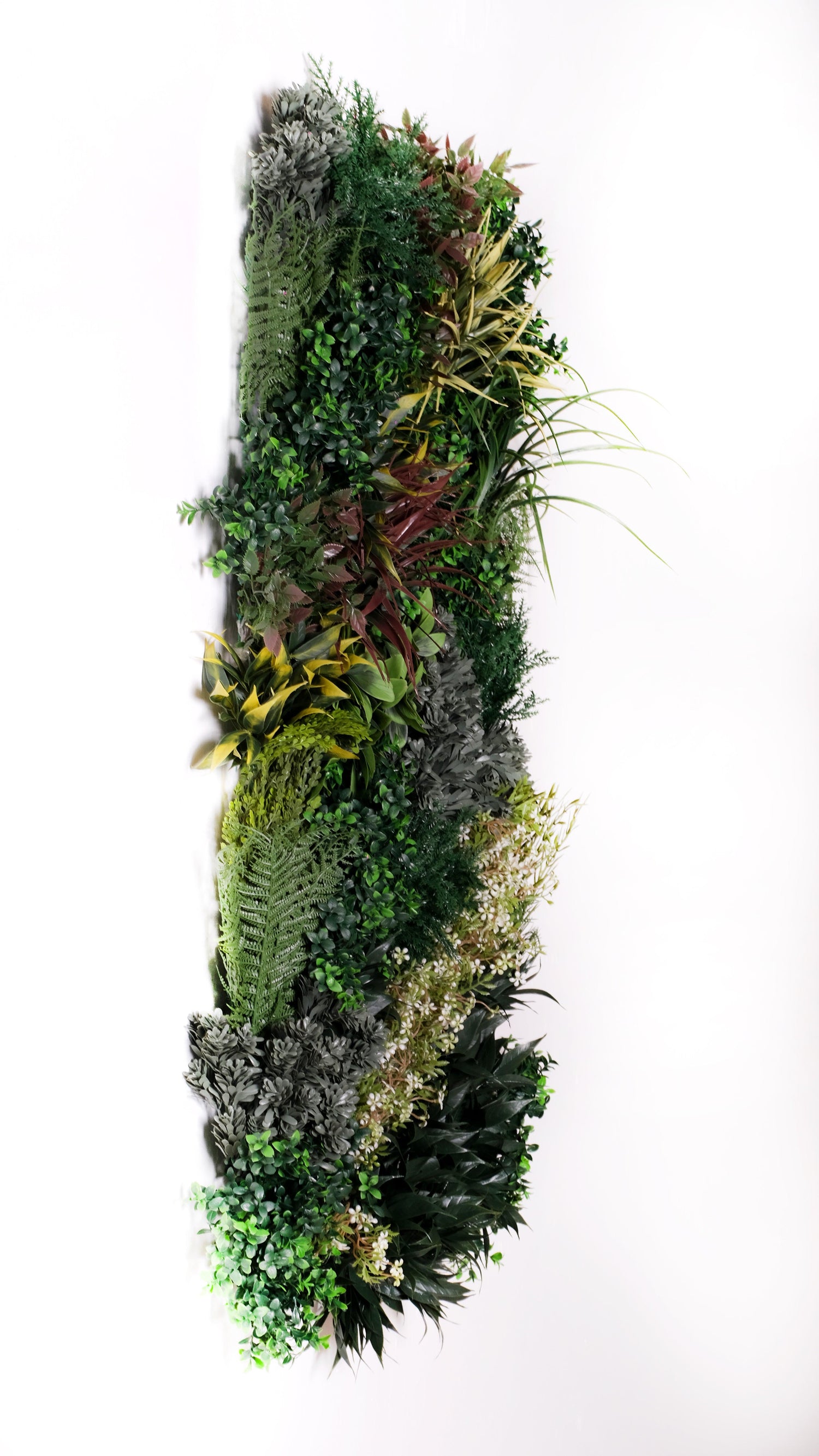BIOPHILIC BLISS - SET OF THREE - Naturalist Interiors