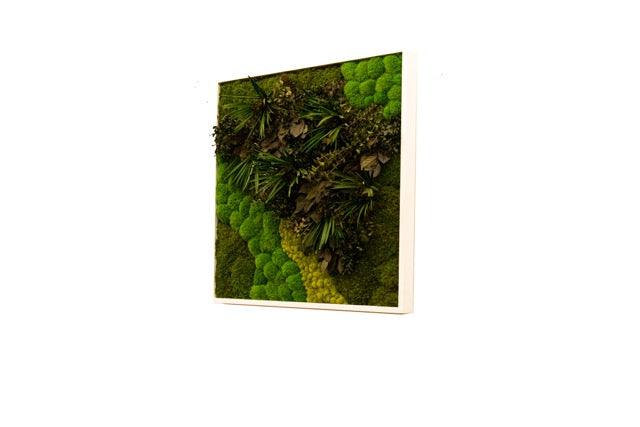 NILE - Naturalist Interiors