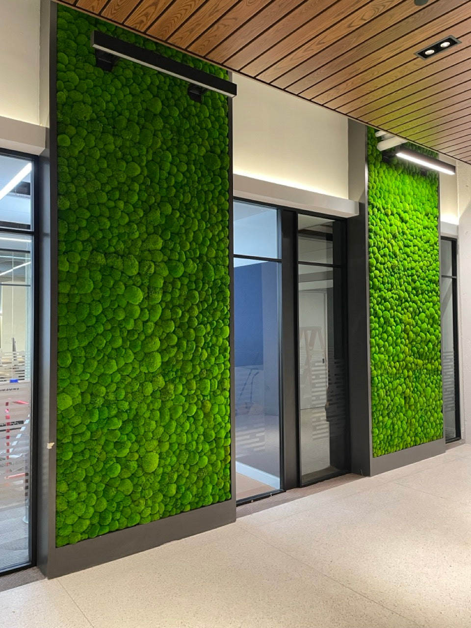 moss indoor plants interior design services Tier 1 Custom Single-Moss Wall