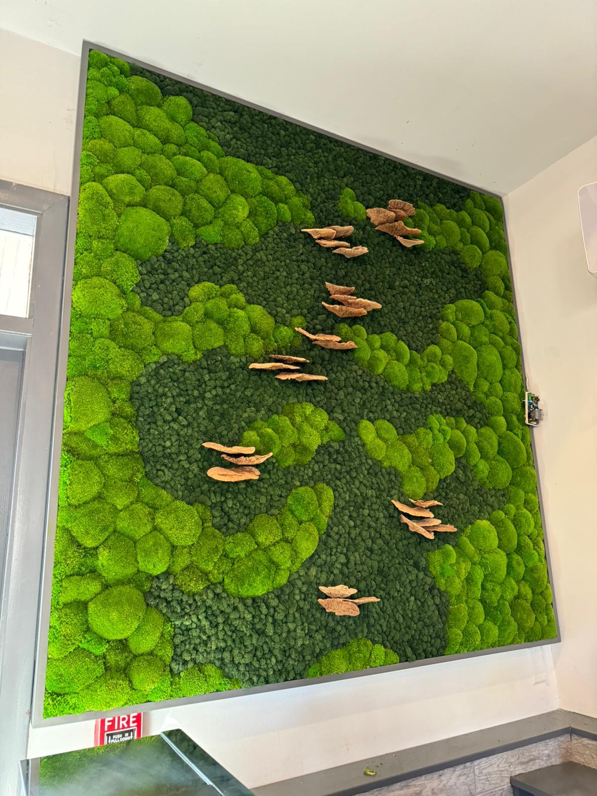 Tier 2 Custom Multi-Moss Wall