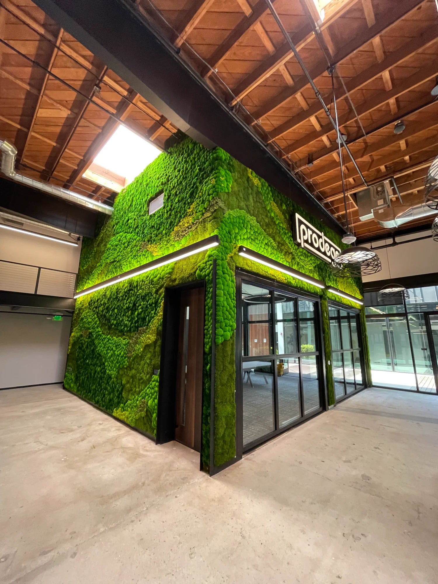 Tier 3 Immersive Moss Environment