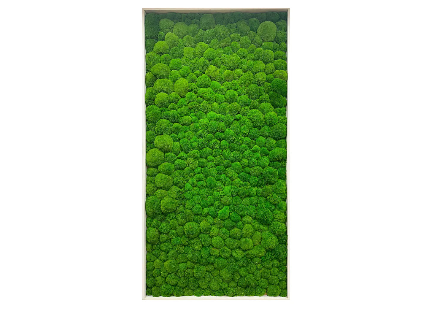 Verde Haven Moss Wall