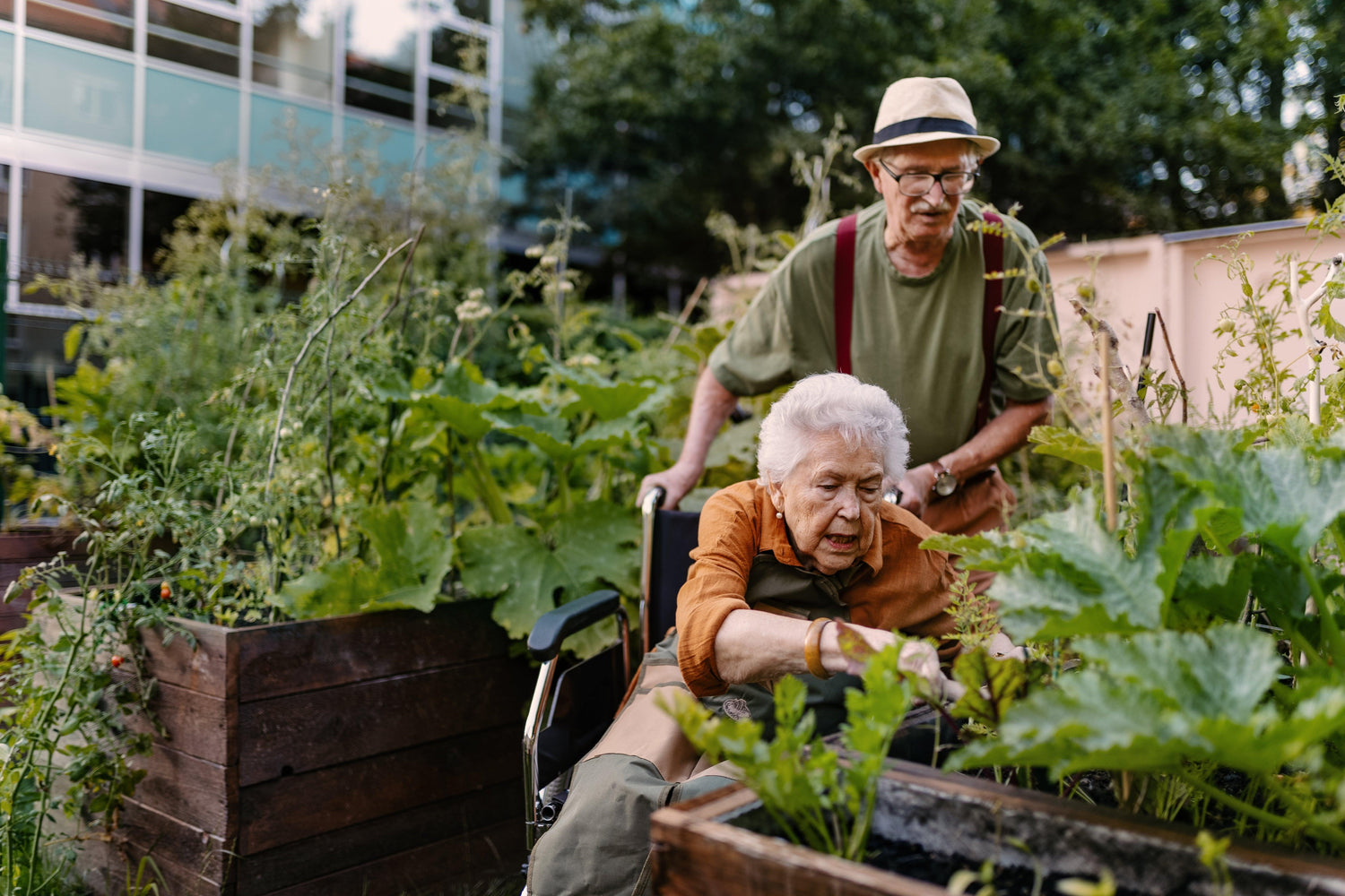 Cultivating Urban Sanctuaries: The Power of Greenery in City Landscapes