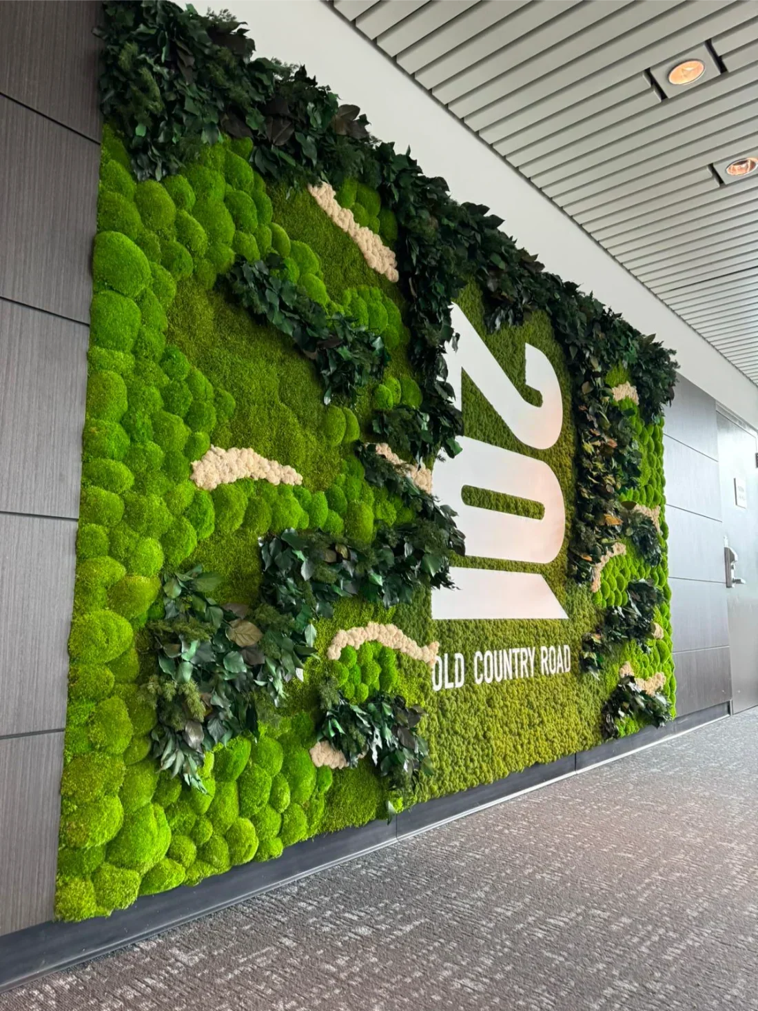 Why Businesses Are Investing in Commercial Green Walls