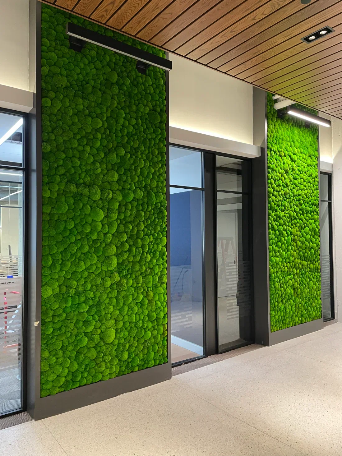 The Acoustic Benefits of Moss Walls
