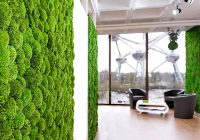 Advantages of Wall Gardens - Naturalist Interiors