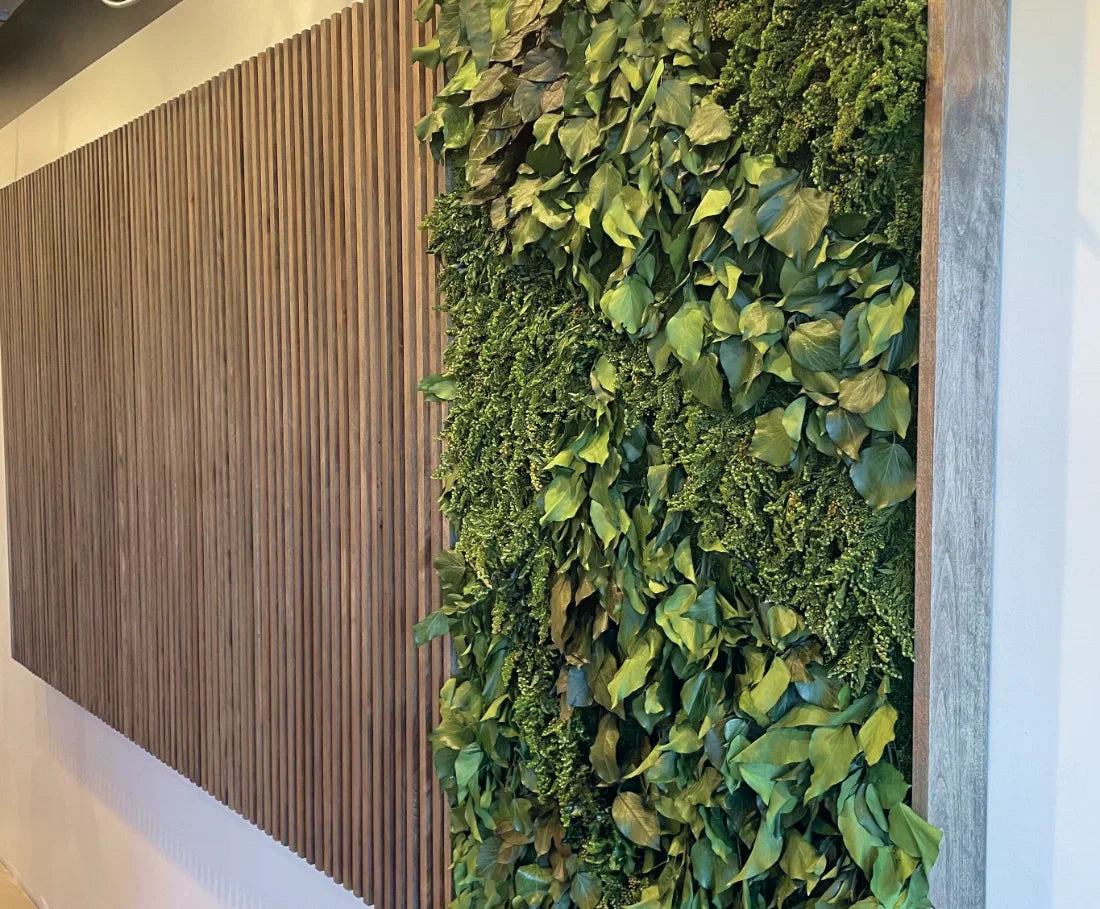 Maintaining Preserved Moss Walls: Tips and Best Practices