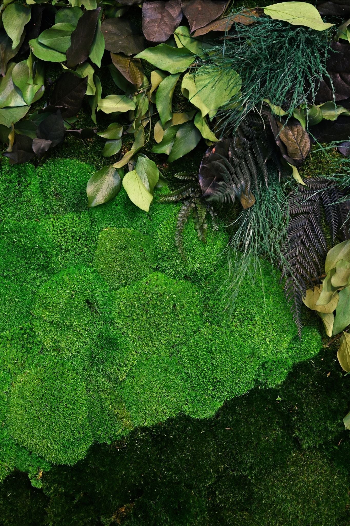 Artificial Green Walls vs. Preserved Moss Walls: Which Is Right for Your Space?