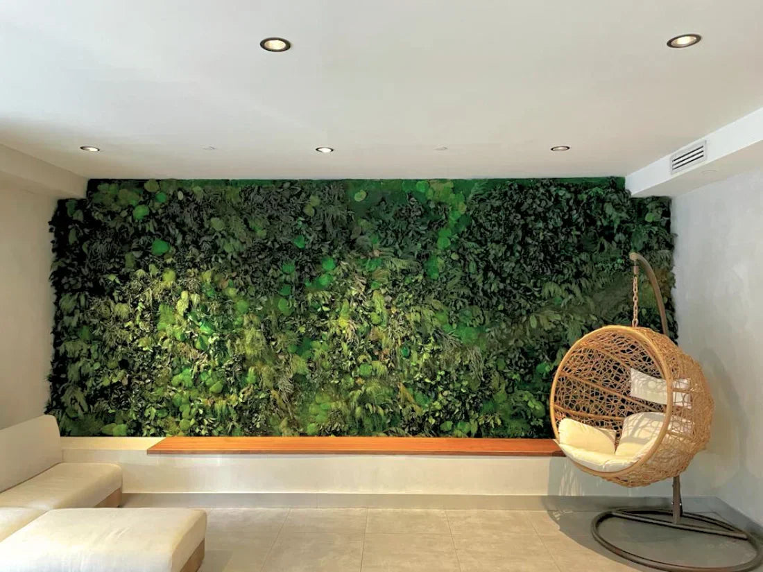 Where to Place Moss Walls in Commercial Interiors