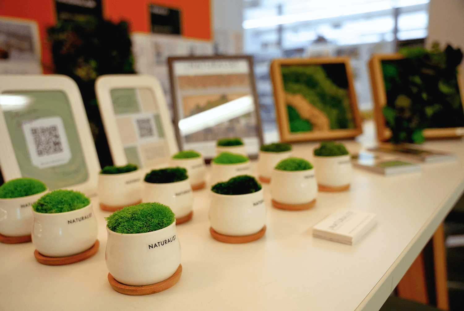 Behind the Scenes: Bringing Biophilic Design to Perkins Eastman
