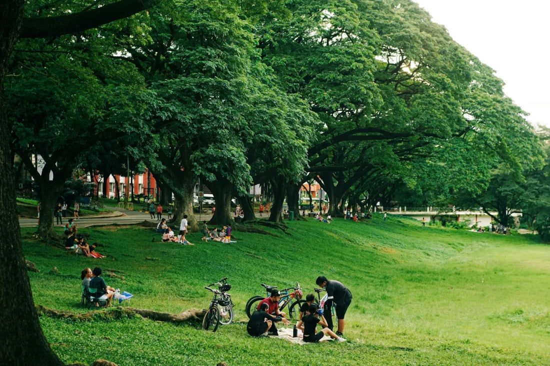 Designing for Wellness: The Role of Preserved Moss Walls in Salutogenesis and Social Prescribing