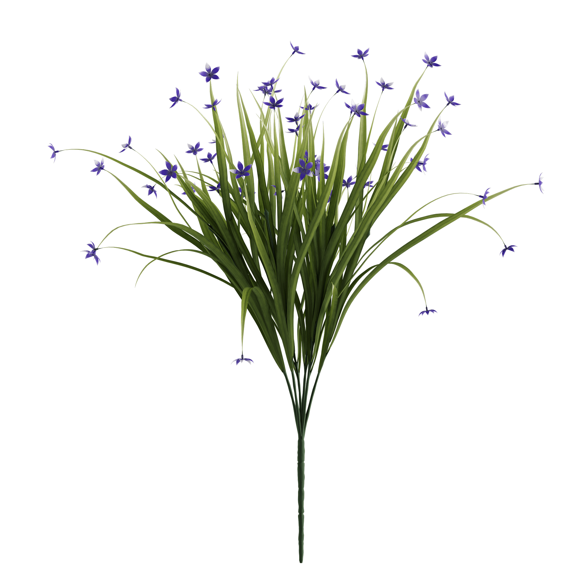 LAVANDULA - Naturalist Interiors