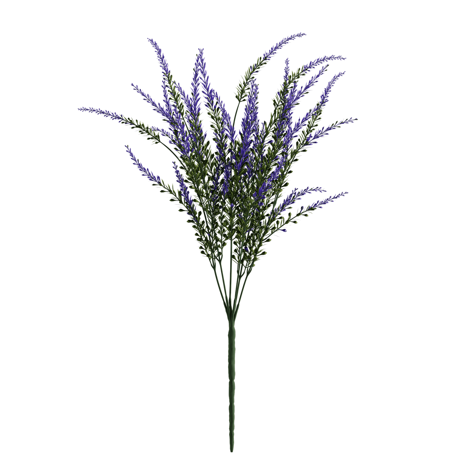 LAVANDULA - Naturalist Interiors