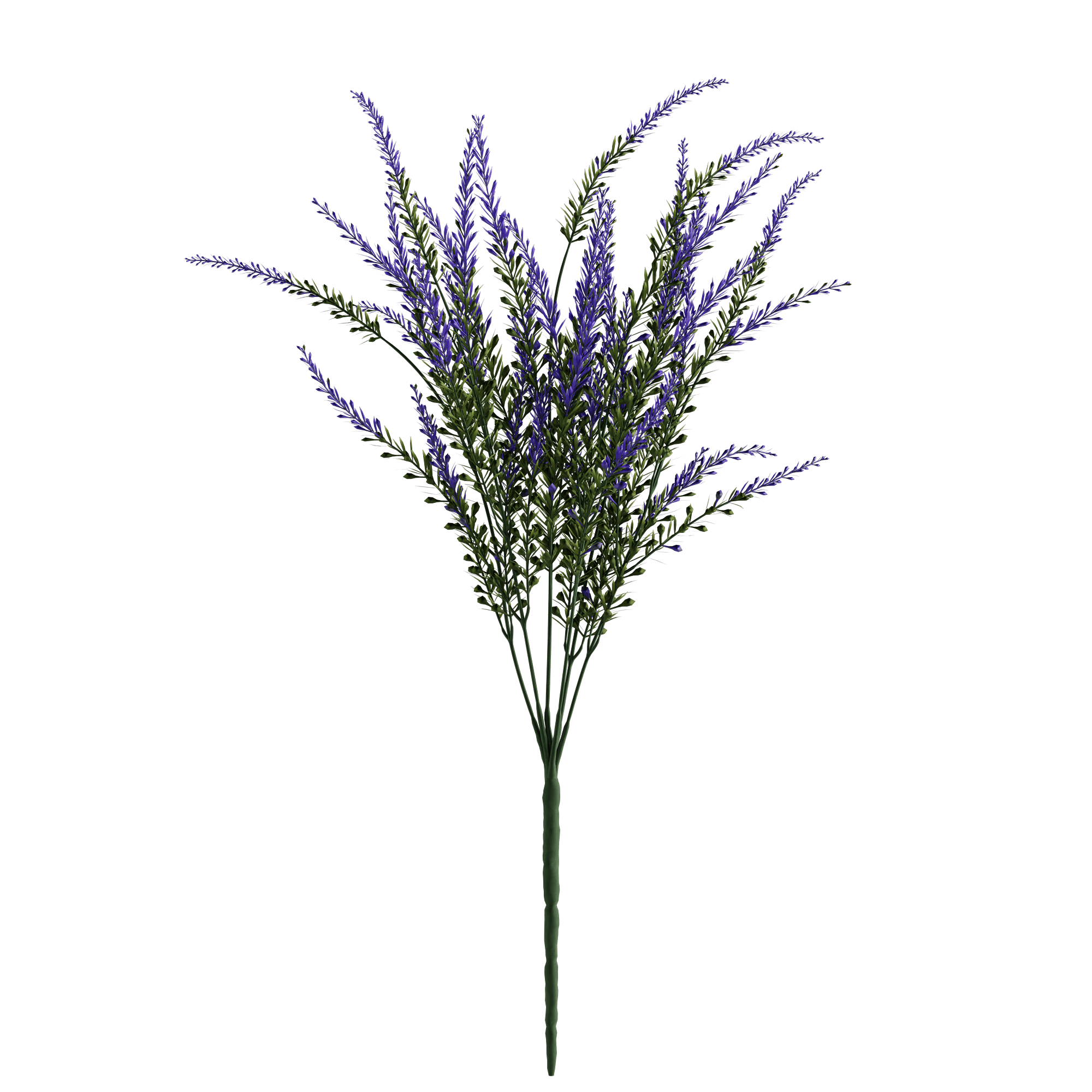 LAVANDULA - Naturalist Interiors