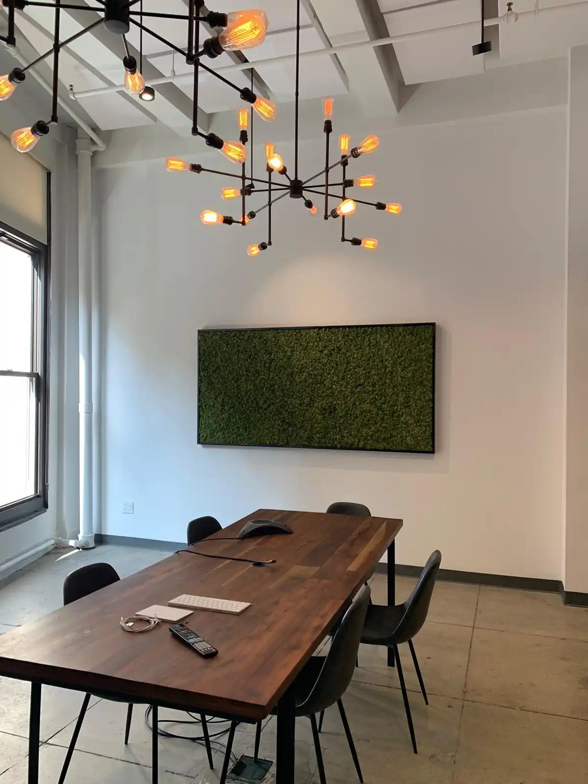 Stella Rasing Stella Rising Media Moss Wall Project – Naturalist
