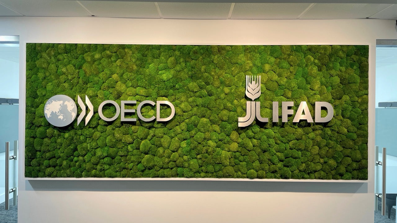 Tier 1 Custom Single-Moss Wall