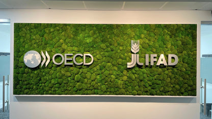 Tier 1 Custom Single-Moss Wall