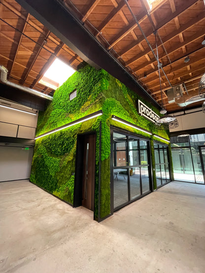 Tier 3 Immersive Moss Environment