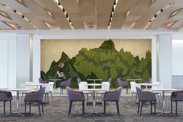 Tier 3 Immersive Moss Environment