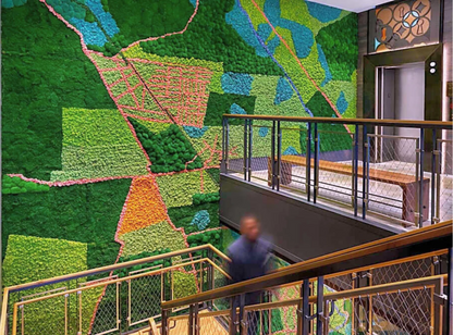 Tier 3 Immersive Moss Environment