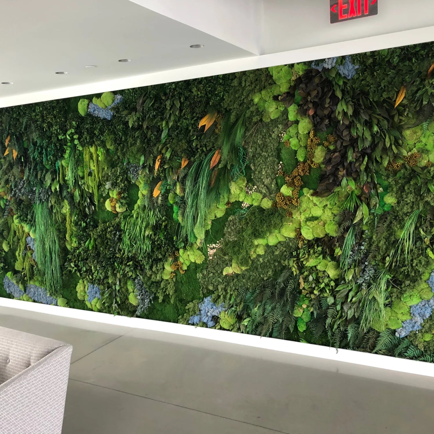 Tier 3 Immersive Moss Environment