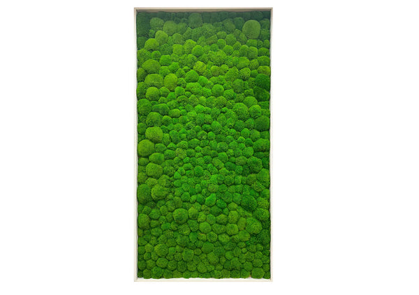 Verde Haven Moss Wall