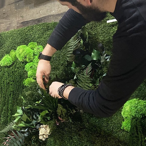 Preserved Wall Gardens 101: Benefits and How They’re Made