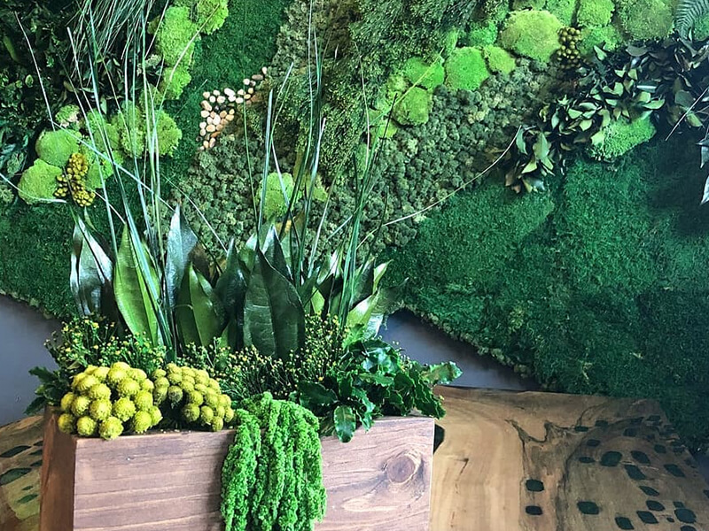 What is Green Wall Art and What Benefits do They Provide?